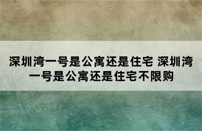 深圳湾一号是公寓还是住宅 深圳湾一号是公寓还是住宅不限购